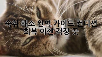 숙취 해소 완벽 가이드: 컨디션 회복, 이젠 걱정 끗!